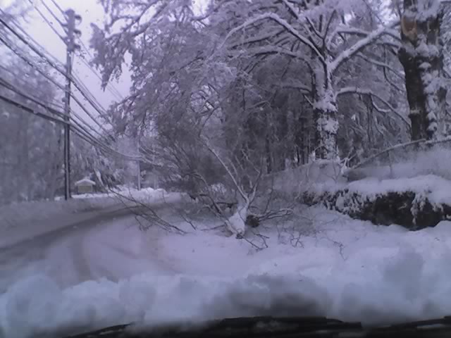 02-26-10_0754 02-26-10_0754