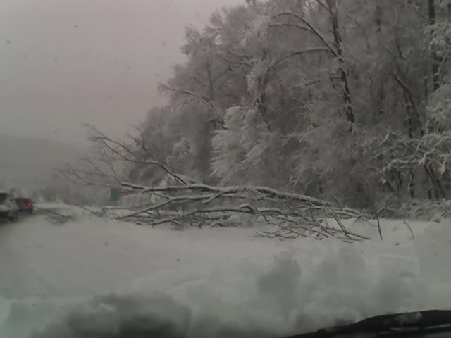 02-26-10_0808 02-26-10_0808