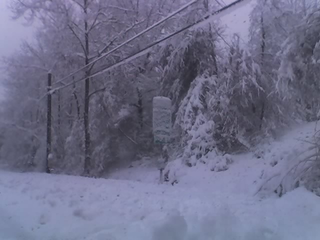 02-26-10_0815 02-26-10_0815