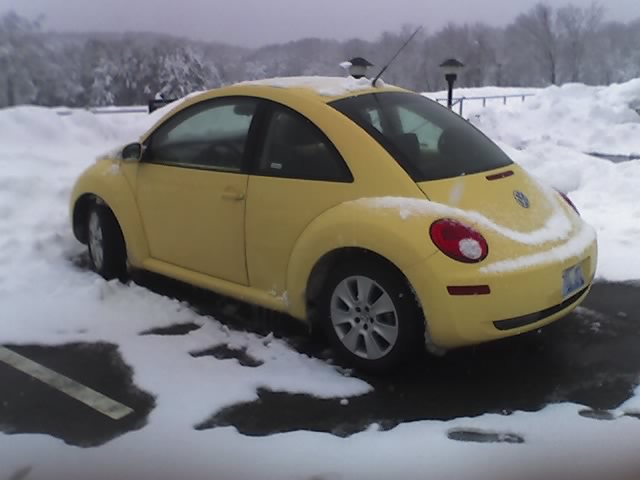 02-26-10_1239 02-26-10_1239
