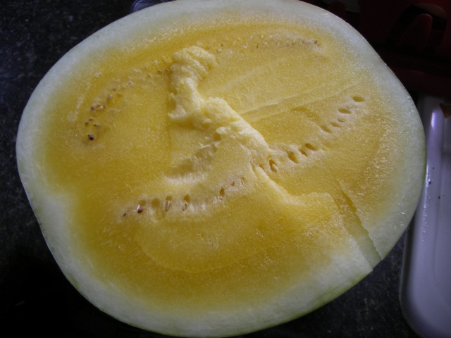 melon